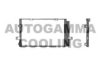 AUTOGAMMA 102765 Condenser, air conditioning